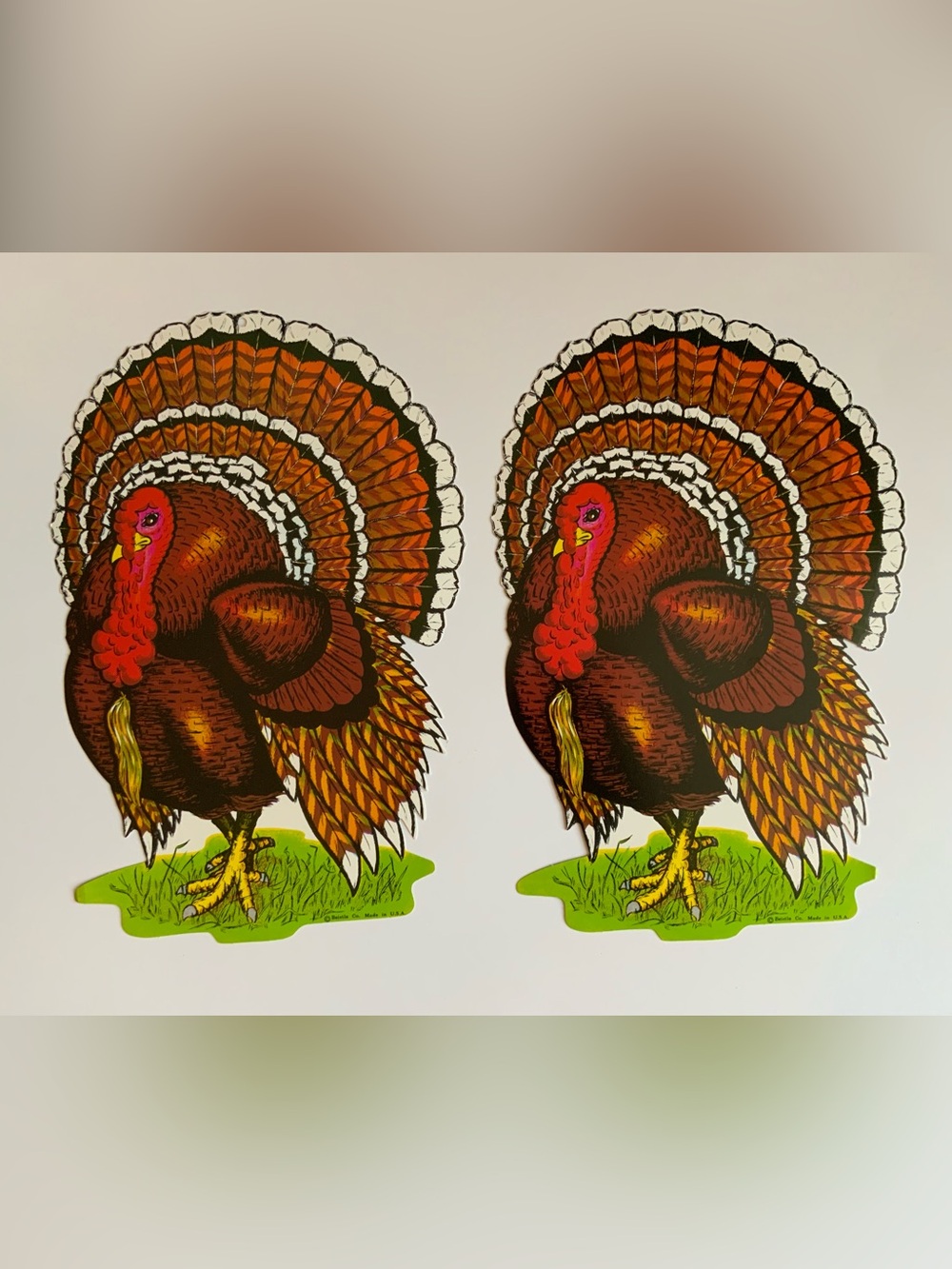 Retro Turkey Cutout Pair - Brown & Orange Thanksgiving Decor